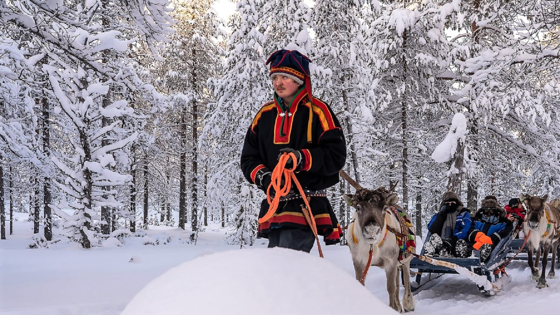 Reindeer driving is a tradition of Sámi