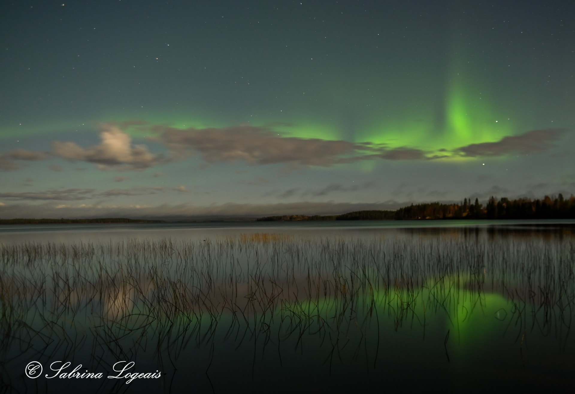 Northern lights at Lentiira , Kuhmo