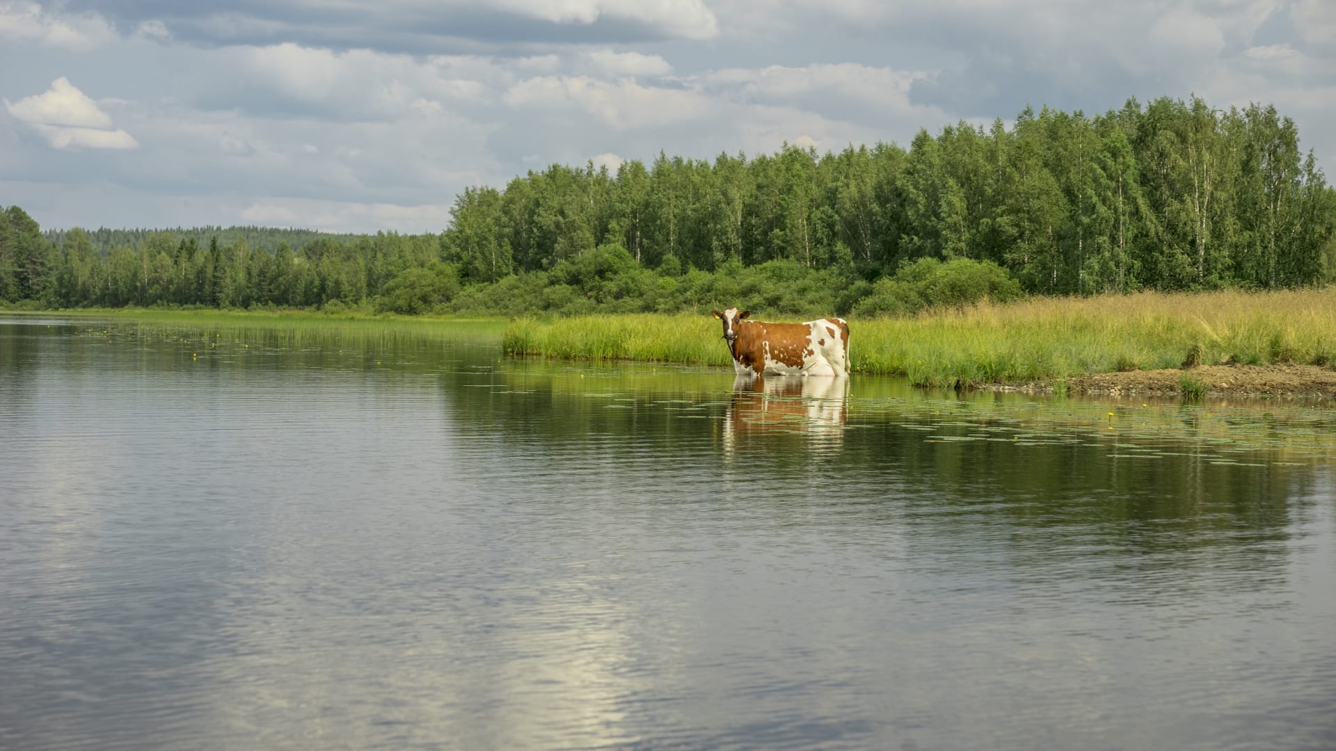 Majatalosta majataloon pyörävaellus