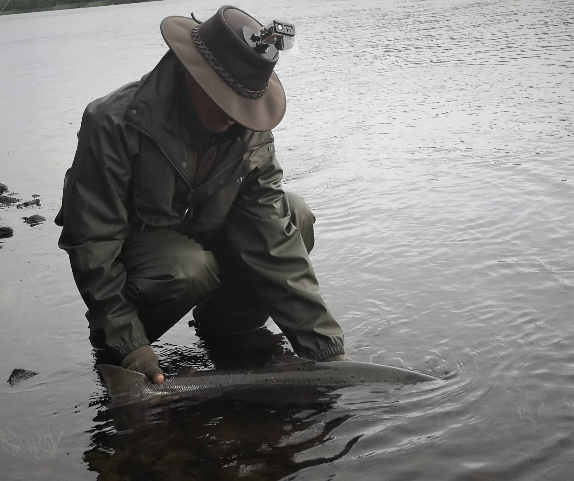 Sustainable fishing