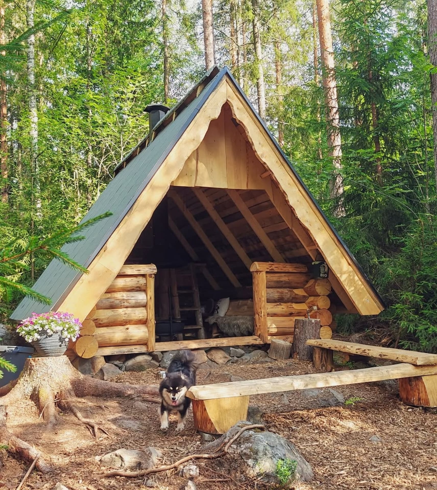 Kotalaavulla voi olla säällä kuin säällä.