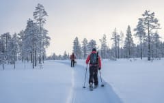Backcountry Skiing Trip  in Syöte National Park