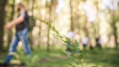 Myllypuron luonnonsuojelualue