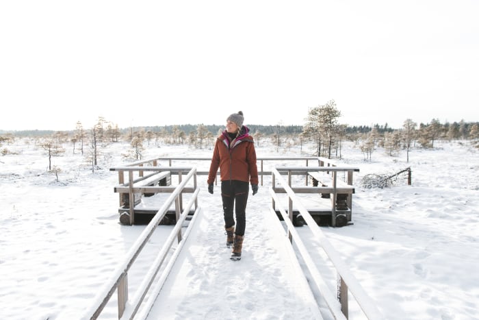 Lankkupolku, kaiteet molemmin puolin, taustalla katselutasanne. / Plankstigen och i bakgrunden en utsiktsplattform med räcken. / broadwalk has handrails on both sides, and a viewing platform in the background. Photo: Eeva Mäkinen