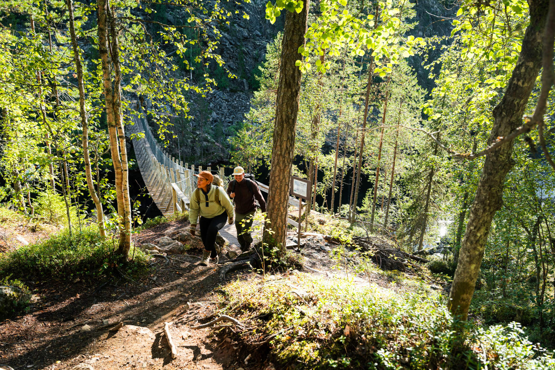 Retkeilijät patikoimassa Hossan kansallispuistossa, taustalla näkyy Julma-Ölkyn riippusilta