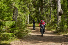 Fatbike safari cycling through the Aulanko Nature Reserve