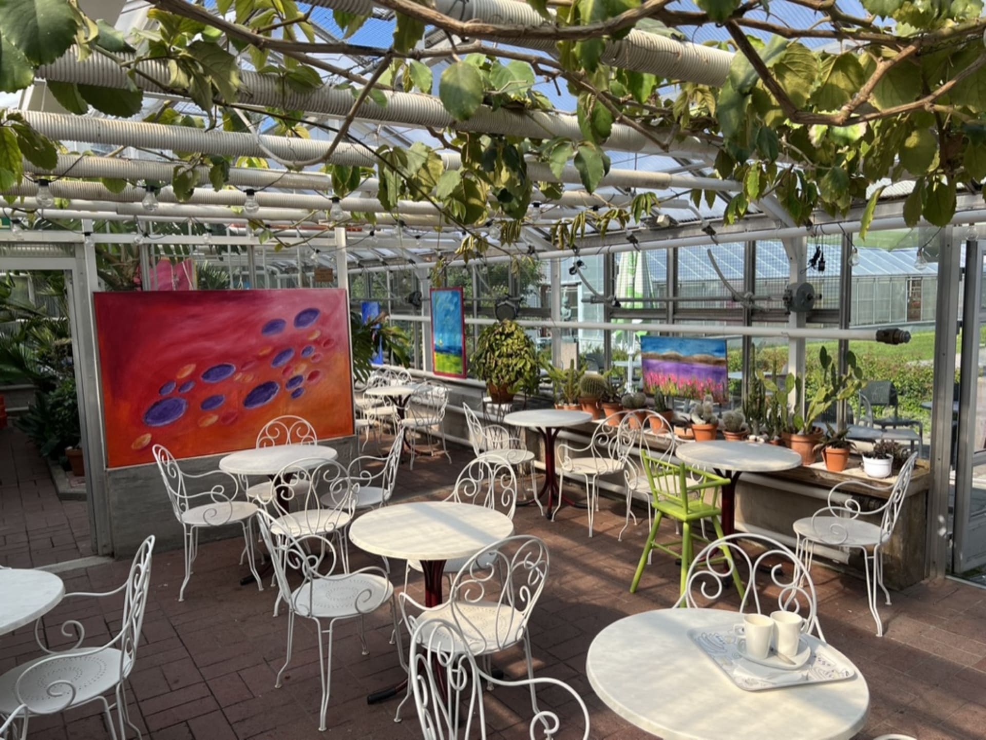 Greenhouse in the center of Oulu