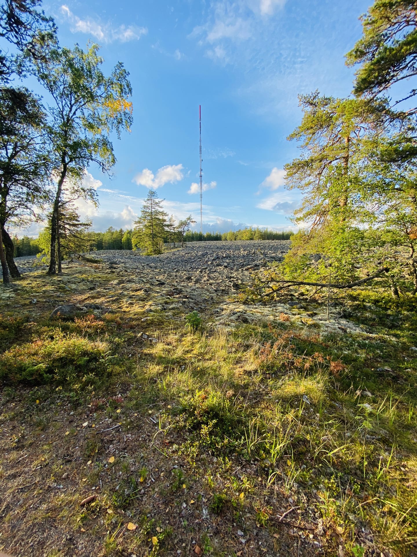 Nature