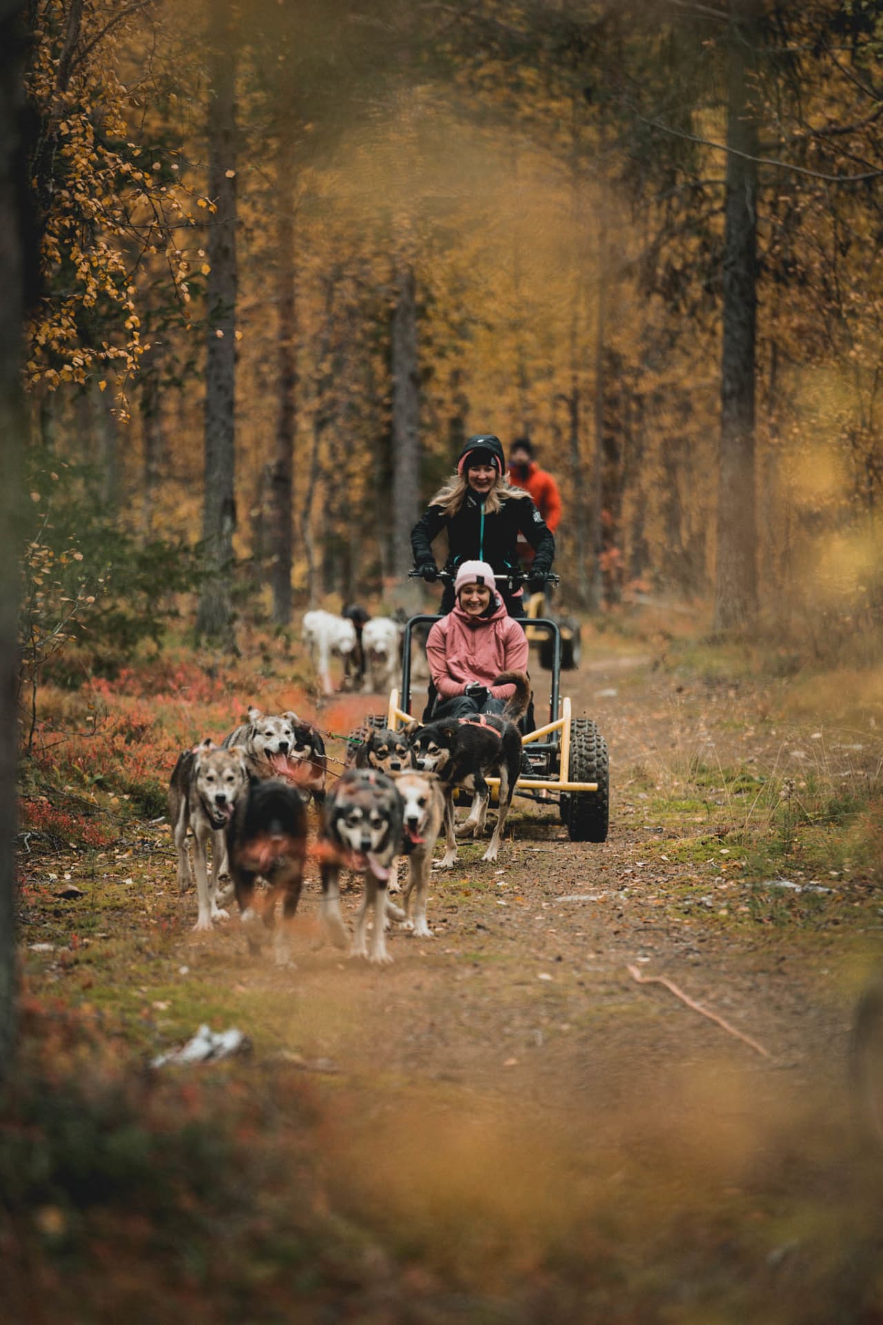 Husky cart