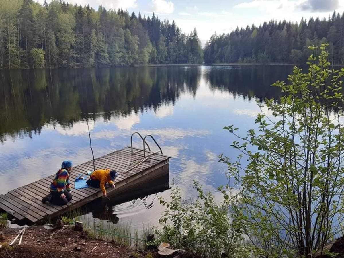 Lake Mallinkaistenjärvi