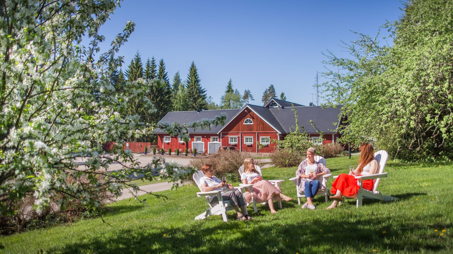 Ihmisiä Rönnvikin viinitilan puutarhassa nauttimassa kesästä.