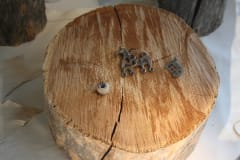 Esihistorian näyttely