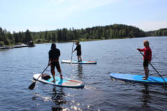 Stand up board for rent