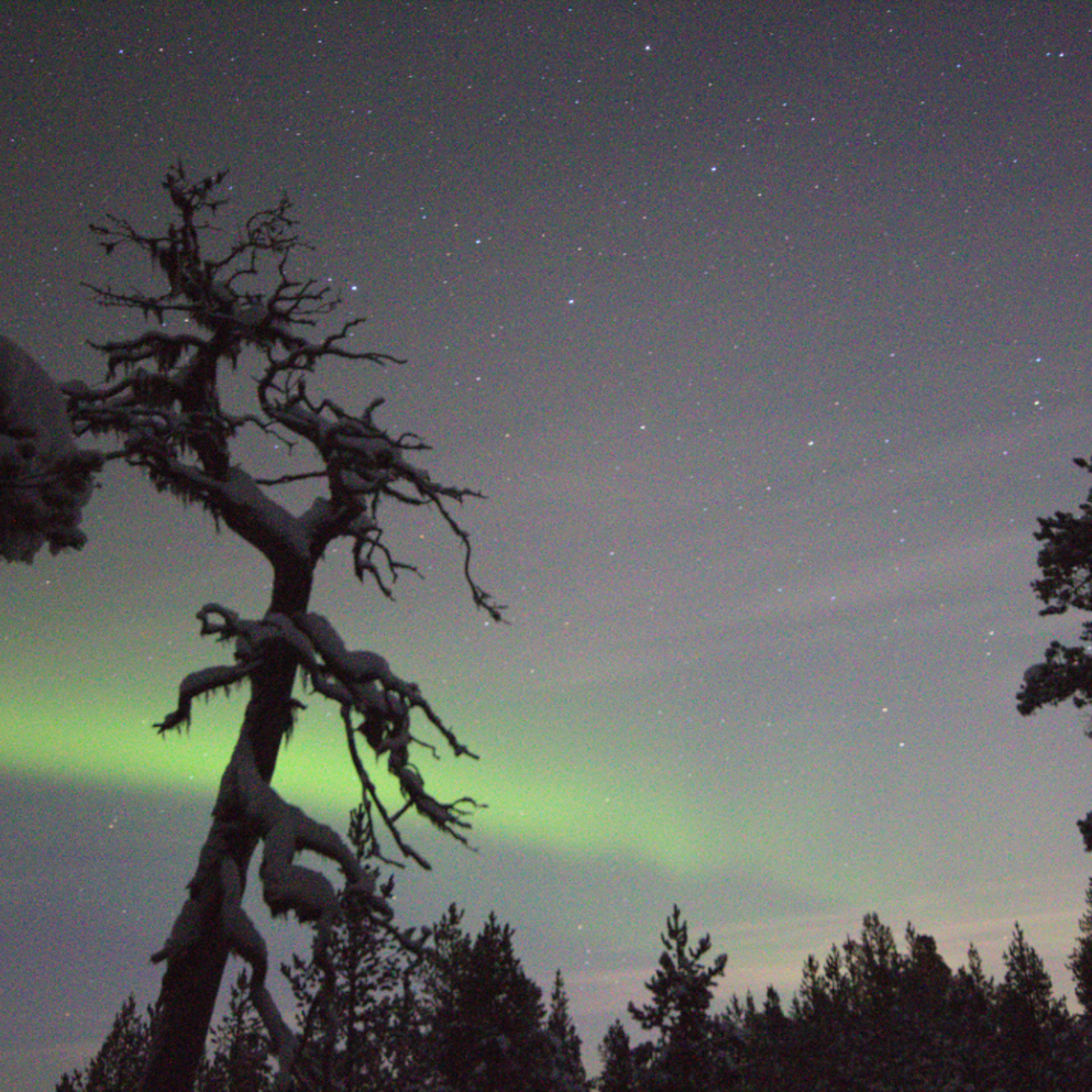 Aurora Adventure and Home Visit