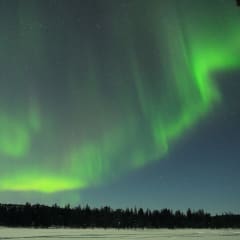 Revontuliretki Inarissa katetun reen kyydissä