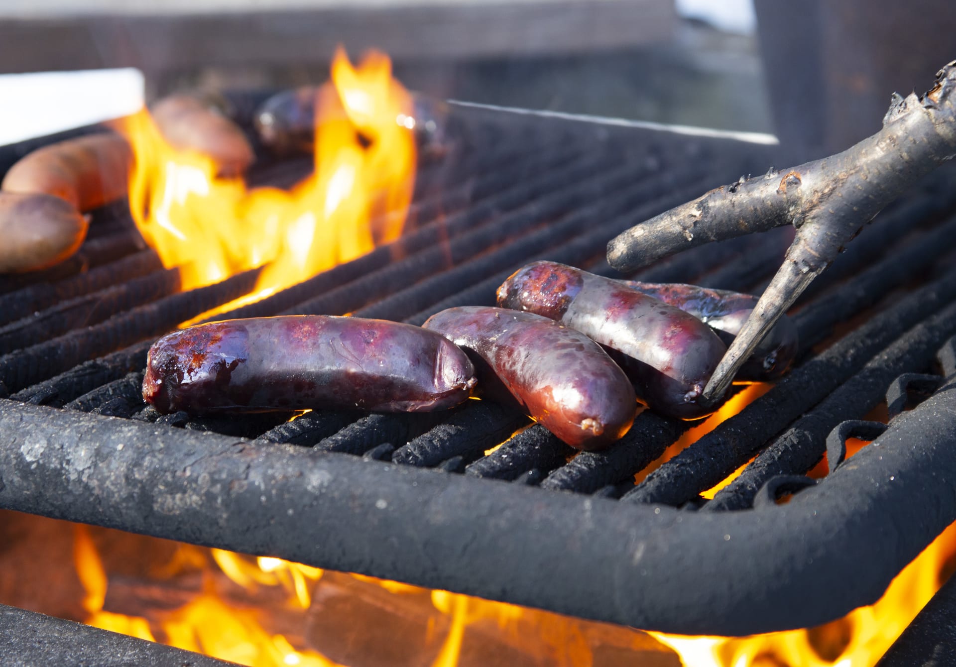 Grilled sausages on open fire.