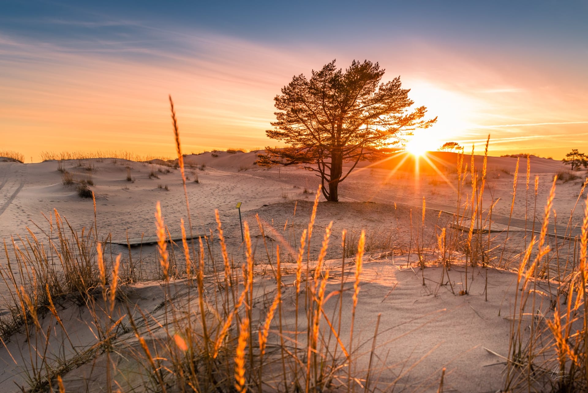 Dunes of Yyteri beach