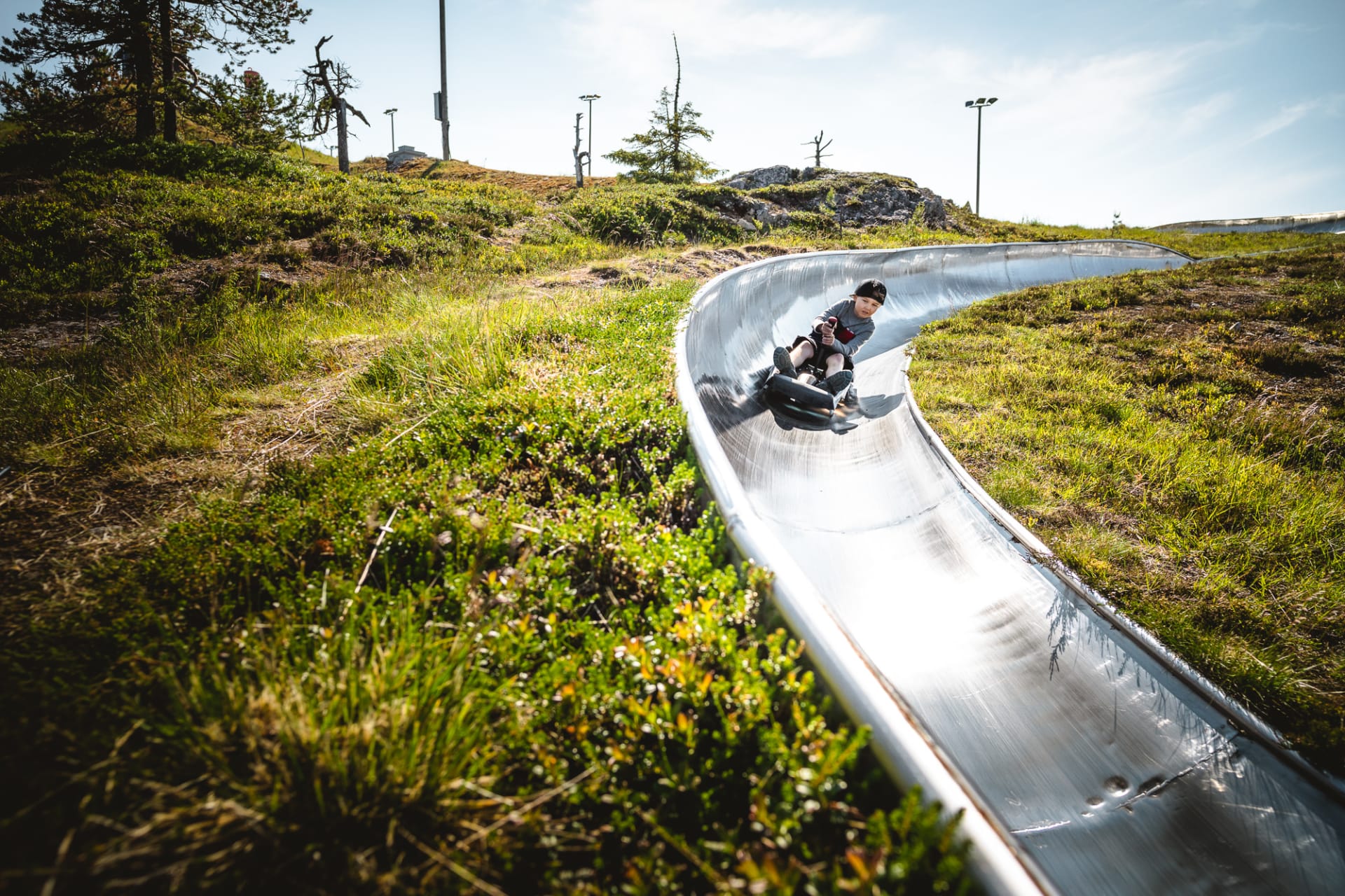 Summer sled track