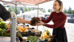 Syyskuun kuukausimarkkinat Mikkelin torilla