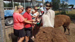 Käringsund Riistasafari