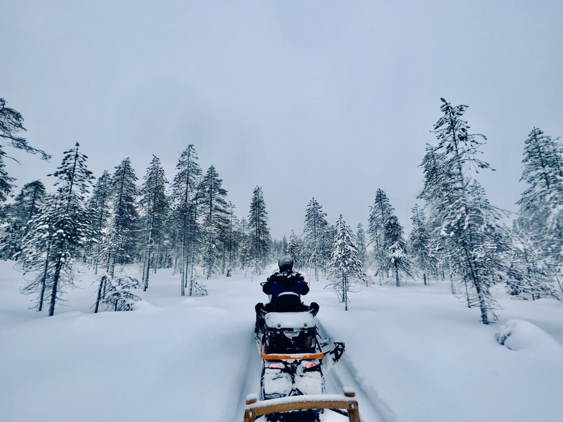 Snowmobile and sled going through the forest