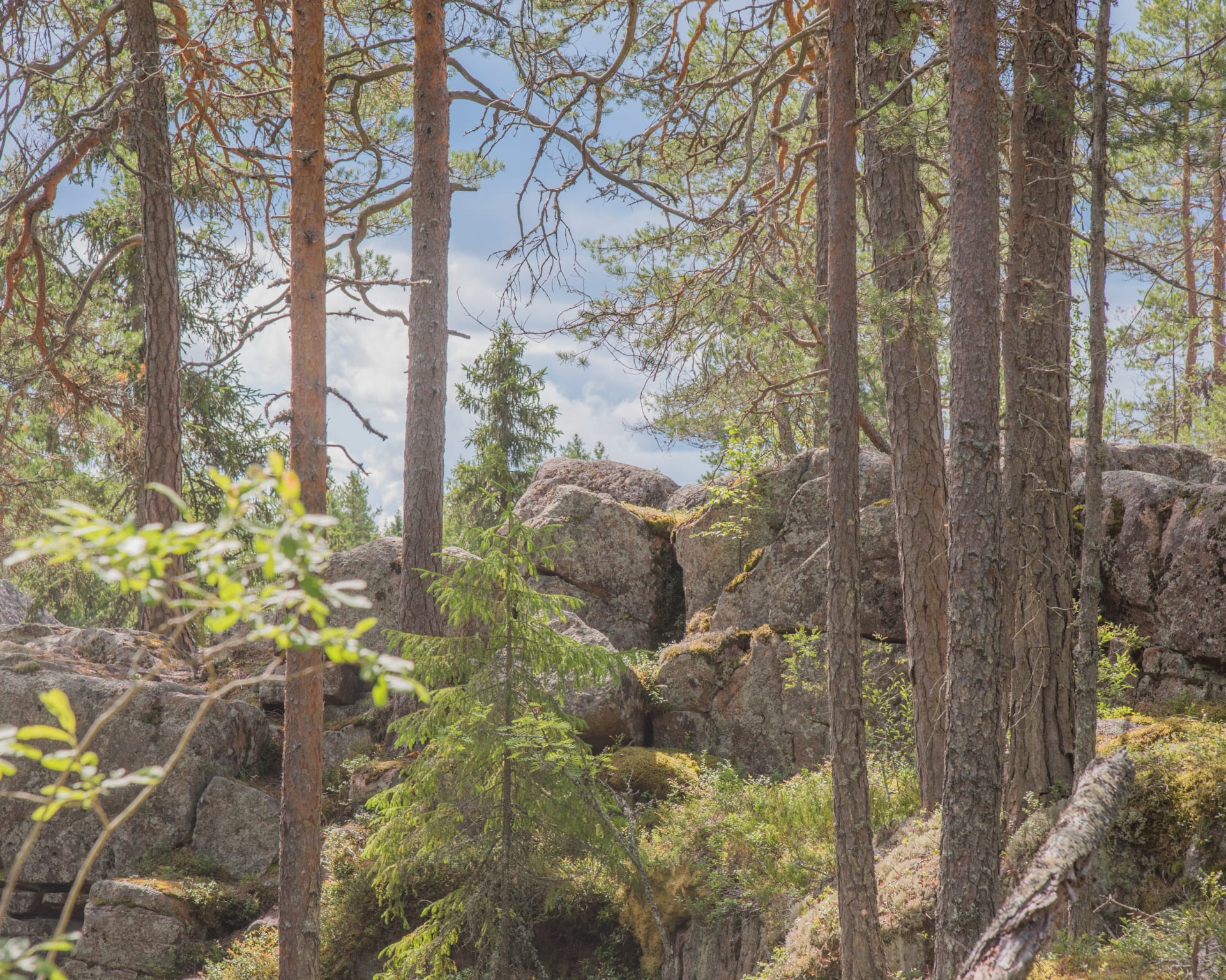 Komeiden kallioseinämien luokse kulkee kivikkoinen ja vaativa polku, mutta maasto on kuivahkoa. 