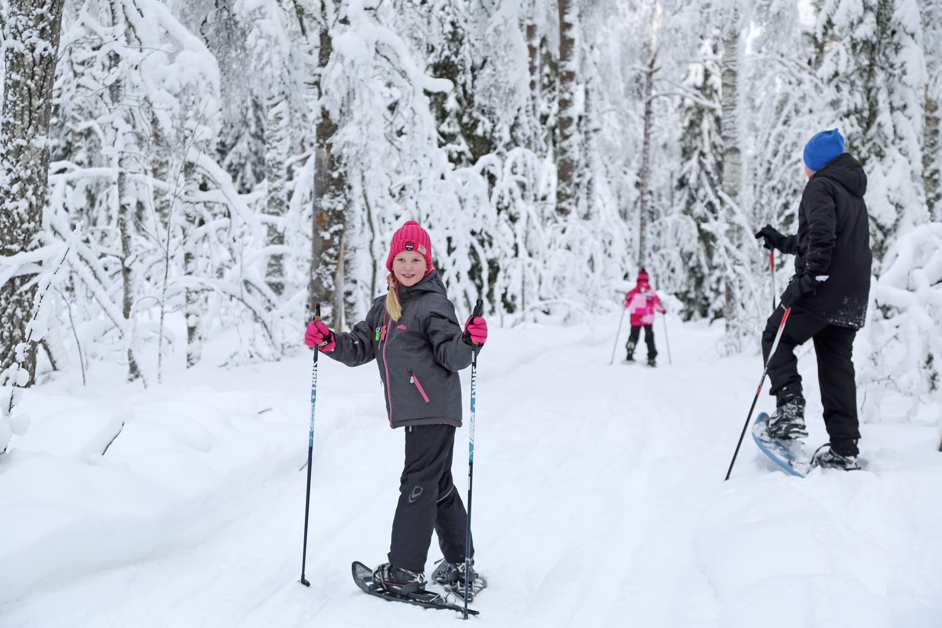 Three people snowshoeing in the forest of Lauhanvuori National Park